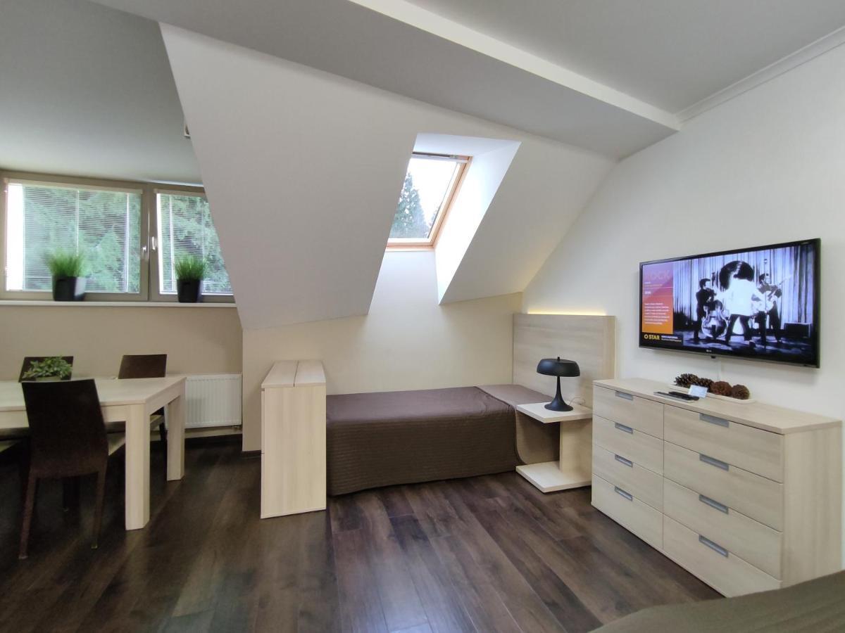 Horsky Apartman C303: Sauna Wellness & Breakfast in Anenske Valley Harrachov Exterior photo